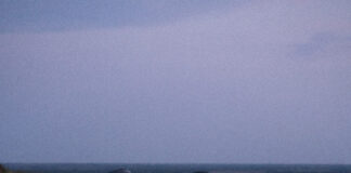 CARS Corner: Tripp Robinson’s Toyota Sera